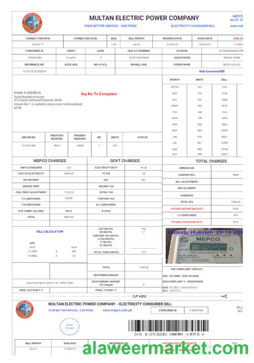 PAKISTAN MULTAN ELECTRIC POWER utility bill Word and PDF template